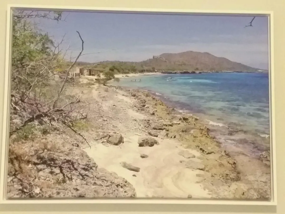 Exito Apartments Playa Hotel ekonomiczny Kralendijk na wyspie Bonaire